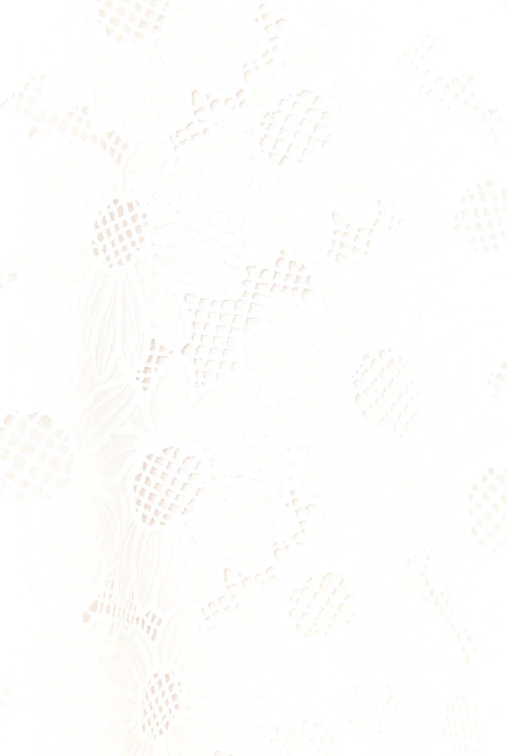 BuddyLove | Deb Lace Mini Dress | Moon Flower