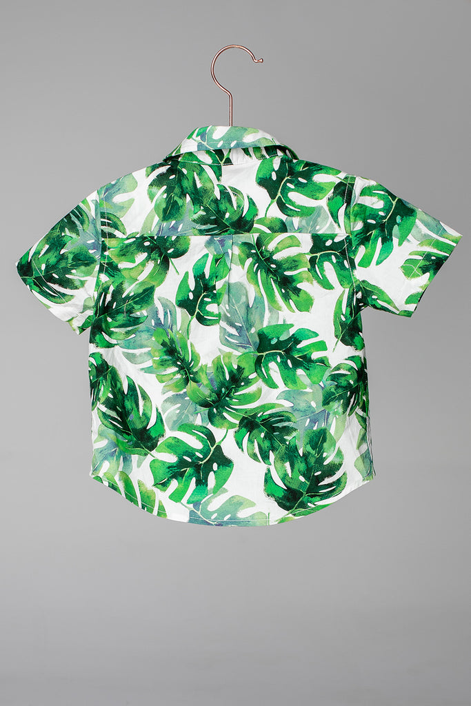 BuddyLove Nash Boy's Button Down Shirt - Maui