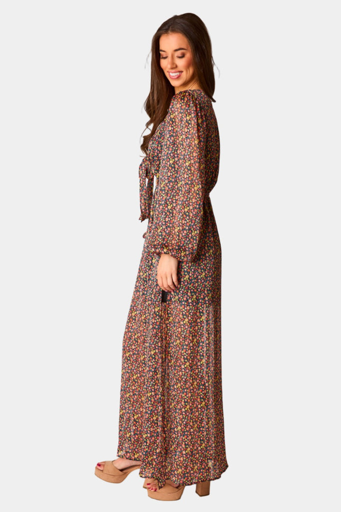 BuddyLove Desirae Long Sleeve Maxi Dress - Color Burst